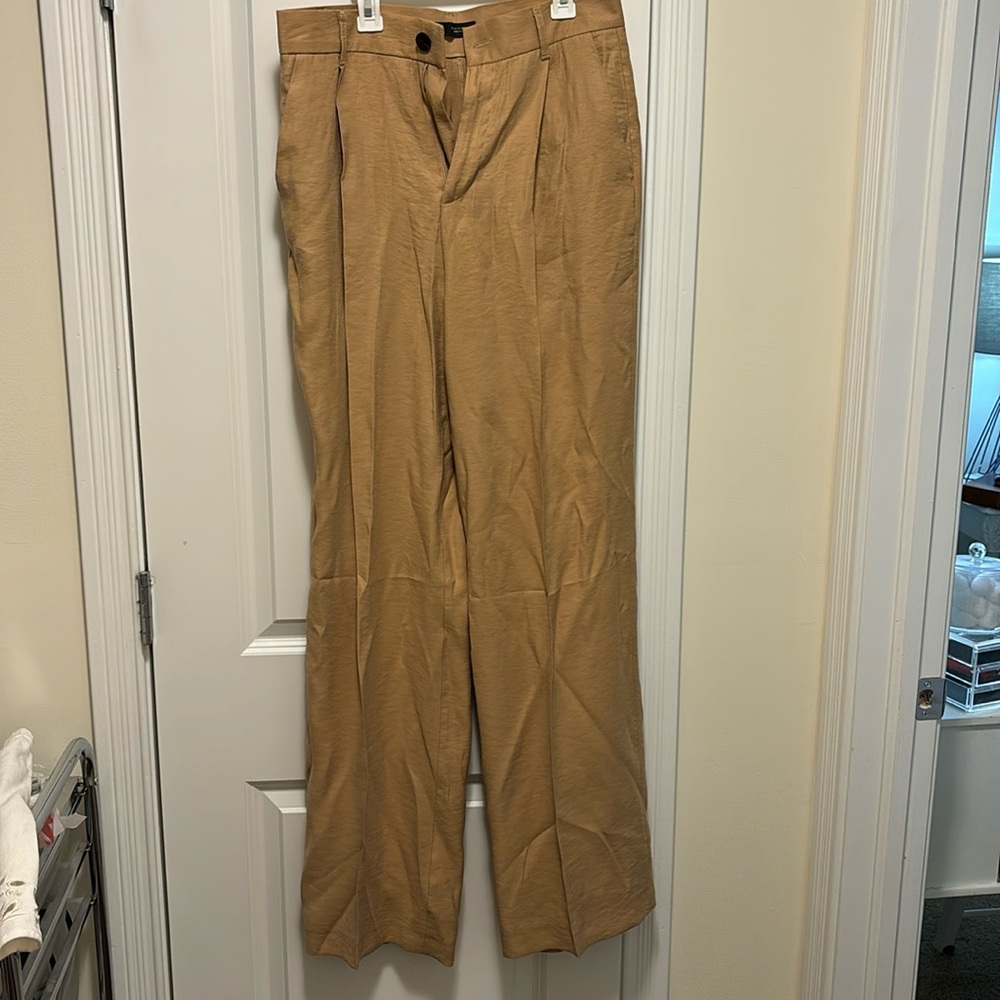 Zara Pleated Pants